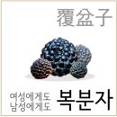 아리아무인텔 이미지