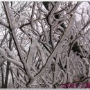 스며들가 이미지