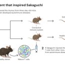 (주)네이쳐사이언스 이미지