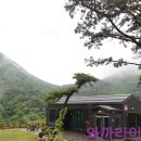 497정원 이미지