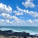 안산종합여객터미널 | 성산항 여객터미널 우도 배 시간 시간표부터 예약방법, 탑승 후기