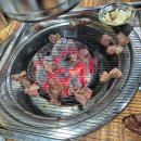 은행나무 갈매기 이미지