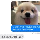 아추추