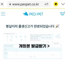 디디펫 수원강아지분양 이미지