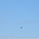 고성리-12 이미지