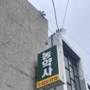 유성농장 2 | 대전 유성 5일장 모종 구매 후기｜4월 판매 작물 &amp; 구매처 총정리 (주말농장 초보 필독)