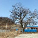 상승노동분교 이미지