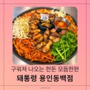 동백5로 | 용인 동백 맛집 돼통령, 구워져 나와 먹기 편한 삼겹살·목살·목항정 모둠한판 후기