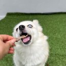 헬로우버디 광교점 이미지