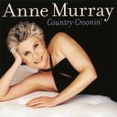 Anne Murray - For The Good Times 이미지