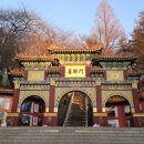 모퉁이책방 티스토리