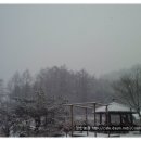 정한농원 이미지