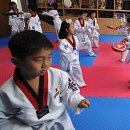 정선태권도체육관 이미지