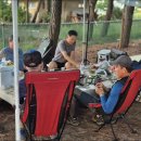 청와삼대 이미지