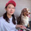 멧돌전 이미지