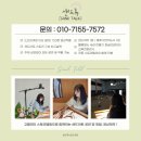 무동꿈유치원 | [샌드톡| 경남 샌드아트] 창원 무동꿈유치원 다문화 샌드아트 공연