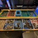 목동해물다치 이미지