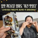 금산 활력의집 | 흑마늘진액 효능 제대로 느낀 후기! 금산이가홍삼 흑마늘진액으로 활력 회복