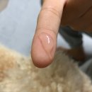 액티브라이프(ActiveLife) | 시그니처바이 스토모액트 액티브라이프 덴탈케어 체험단 리뷰