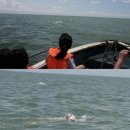 돌고래 PC 이미지