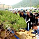 두동초등학교 이미지