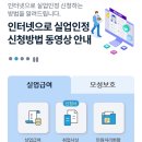 동백수산 티스토리
