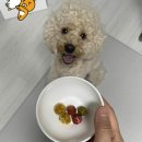 퍼피야미