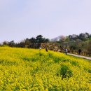 순천-49호 이미지