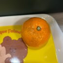 벨몽드마트 만천점 | 마트 알바 후기 | 마트 맥주 판촉 단기 아르바이트 후기