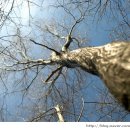 반도모텔 이미지