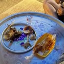 하도리 동동동 이미지