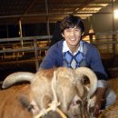 워낭소리 이미지