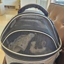 그랜드벳동물병원 | 알밤이 첫 침치료 - 대구 그랜드벳 동물병원