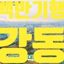 수지네 이미지