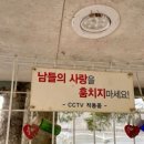 너와의 산책 이미지