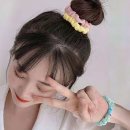 도도마켓 - 제주시 | 도도마켓