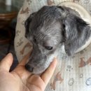 루디아헤어갤러리 - 성남시 분당구 야탑동 | 루디아헤어갤러리