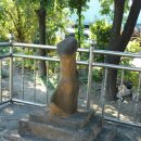 회덕농장 이미지