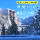 세븐엘레븐 앞 | 요세미티 투어 당일 1박 비교 국립공원 2월 날씨 샌프란시스코 여행 내돈내산 후기