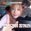 펫키지