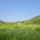 플라워가든 이미지