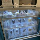 까까요 dog 이미지