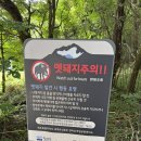 사누스 | 제주도네이션 동물들