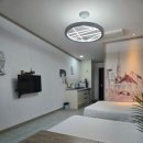 블란디야 이미지