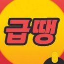 파로호낚시점