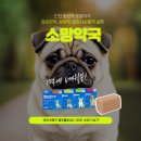 건강소망약국 이미지