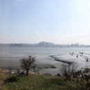 금강횟집 이미지