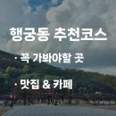 마스타자동차 수원정자3호점 | 수원ㅣ행궁동, 현지인이 추천하는 꼭 가봐야할 곳 (맛집, 카페, 주차)