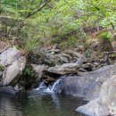 명대계곡 화장실 이미지