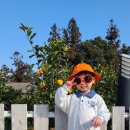 제주몽펜션 이미지